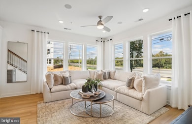 16104 Frederick Rd, Derwood, MD 20855 - photo 4