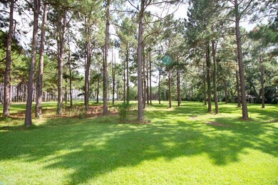 898 Omega Eldorado Rd, Omega, GA 31775 - photo 5