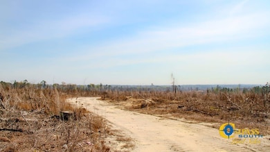 0 Prosser Rd unit 25510401, Deepstep, GA 31082 - photo 6