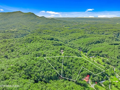 0 Henderson Springs Rd unit 1309284, Pigeon Forge, TN 37863 - photo 7