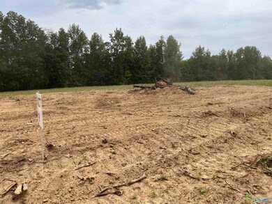 19 Holland Rd, Athens, AL 35614 - photo 4