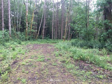 unlisted-address, Stanwood, WA 98292 - photo 6