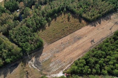TBD Sand Plant Rd, Nichols, SC 29581 - photo 4