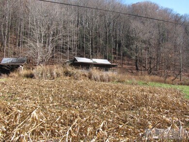 626 Stewart Simmons Rd, Deep Gap, NC 28618 - photo 2