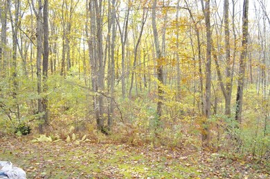 48 Lake George Rd, Wales, MA 01081 - photo 6