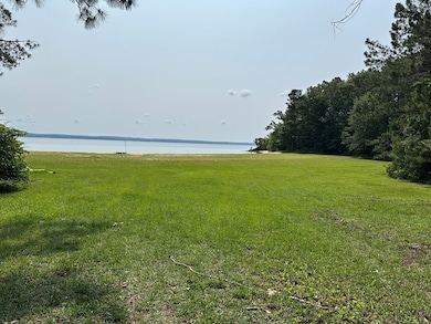 TBD Forest Blvd, Abbeville, AL 36310 - photo 4