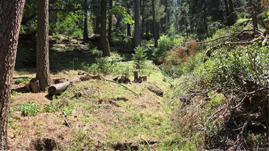 00987 Deer Run Rd, Cedarpines Park, CA 92322 - photo 7