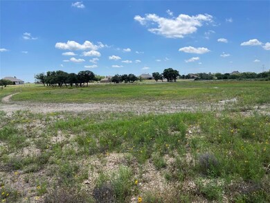 420 Pommel Ct, Weatherford, TX 76088 - photo 6