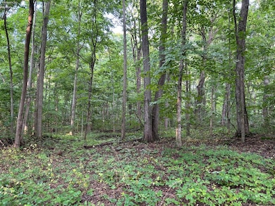 1 Jones, Put-In-bay, OH 43456 - photo 6