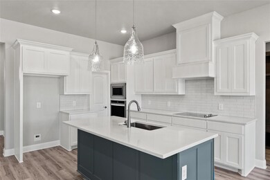 117 Aslan Rd, Poolville, TX 76487 - photo 3