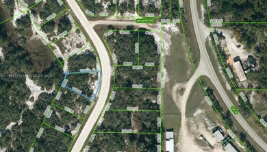 224 Lakeland Dr, Lake Placid, FL 33852 - photo 5