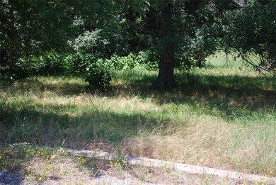 37037 Woodacre Loop, Whitney, TX 76692 - photo 3