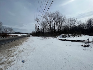 7560 N Ridge Rd, Madison, OH 44057 - photo 2