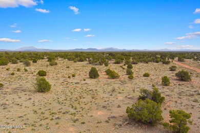 50178020d Kaibab Rd, Williams, AZ 86046 - photo 5