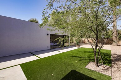 LOW MAINTENANCE LAWN