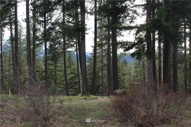 unlisted-address, Cle Elum, WA 98922 - photo 4