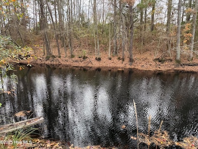 0 Boyd Lake Rd, Hamlet, NC 28345 - photo 3