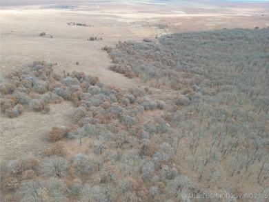 0004 County Road 2145, Bartlesville, OK 74003 - photo 6