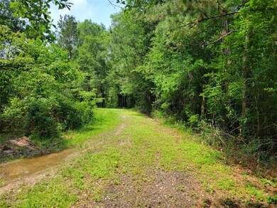Drive way view past the gate