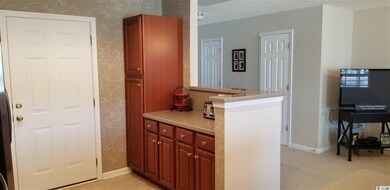 317 River Run Dr, Myrtle Beach, SC 29588 - photo 7