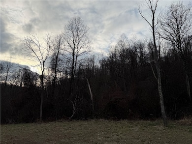 1 Polecat Hollow Rd, Waynsbrg/Frankln Township, PA 15370 - photo 7