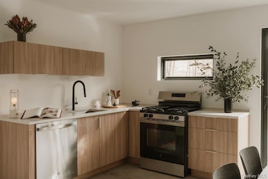 Kitchen with appliances with stainless steel finishes and modern cabinets