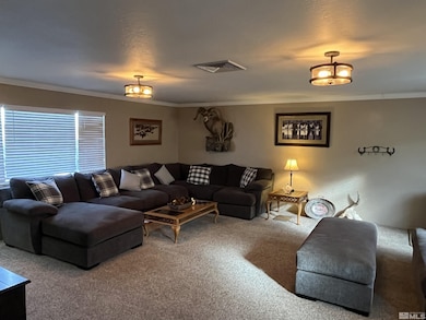 3205 St Clair Rd, Fallon, NV 89406 - photo 6