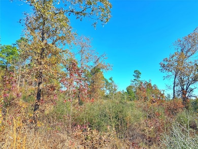 TBD Fm 2022, Grapeland, TX 75844 - photo 6