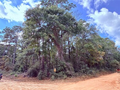 0 Warpath Dr unit 10488325, Livingston, TX 77351 - photo 4