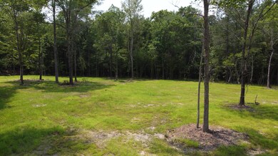 9 Steed Creek Rd, Huger, SC 29450 - photo 7