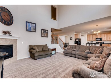 3883 Horiuchi St, Brighton, CO 80601 - photo 4
