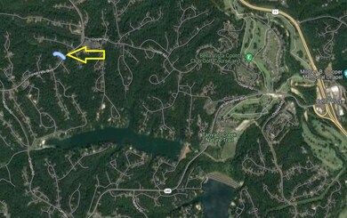 0 Cedars Ln, Bella Vista, AR 72715 - photo 3