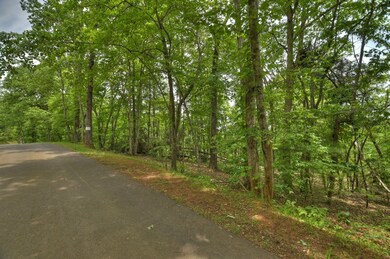 LOT 13 Hidden Acres, Blue Ridge, GA 30513 - photo 7