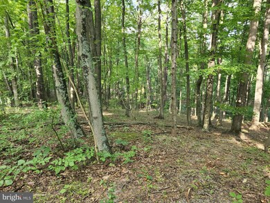 0 Dogwood Ln unit WVMO2002192, Berkeley Springs, WV 25411 - photo 6