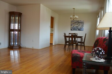 6615 Hulvey Terrace, Alexandria, VA 22306 - photo 3