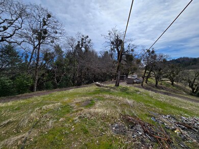 705 Bigfoot Path Rd, Kettenpom, CA 95595 - photo 4