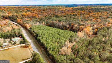 0 Morgan Mill Rd unit 25520027, Senoia, GA 30276 - photo 6