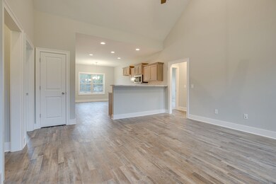 110 Grass Land St, Manchester, TN 37355 - photo 4