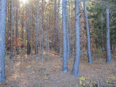 1950 Manakintown Ferry Rd, Midlothian, VA 23113 - photo 3