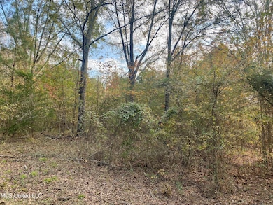 0 Massey Rd, Kosciusko, MS 39090 - photo 3