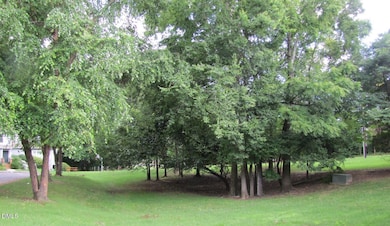 Wilson Park Grassy Area
