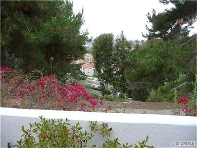 Pano View
