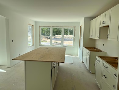 Kitchen into Dining