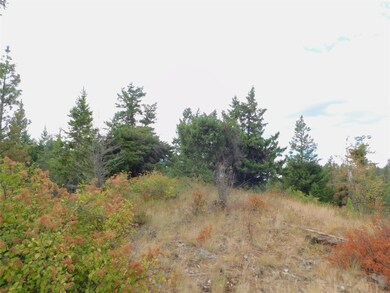 32701 Delaro Ranch Rd, Bigfork, MT 59911 - photo 5