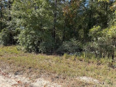 0 NE 108th Ave, Bronson, FL 32621 - photo 4