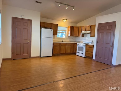 1203 W Locust St, Bowling Green, MO 63334 - photo 6