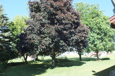 1043 E 10th backyard