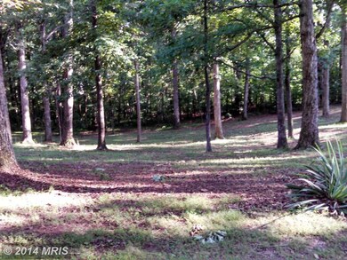 7849 Rogues Rd, Catlett, VA 20119 - photo 4