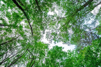 00 Watt Rogers Rd unit Tract 2, Pelzer, SC 29669 - photo 4