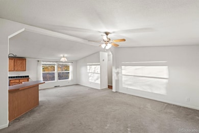 21105 Mcdaniels Rd, Calhan, CO 80808 - photo 4